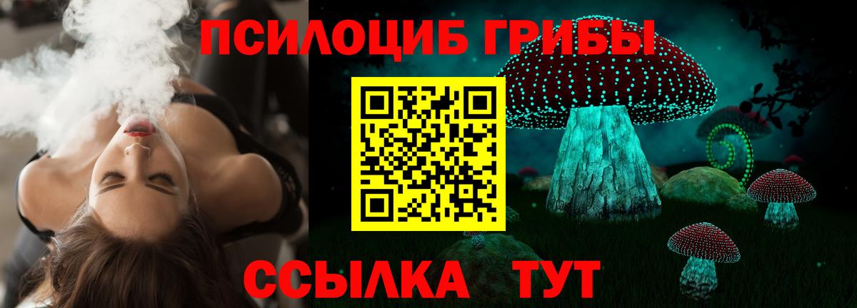 Псилоцибиновые грибы Psilocybine cubensis Нальчик